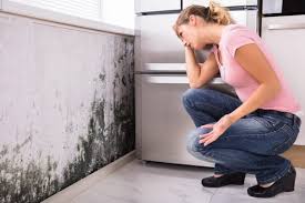 Best Residential Mold Inspection & Testing  in Swisher, IA